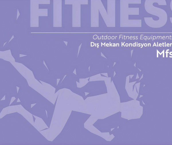 outdoor gym equipment (5)